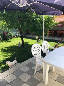 2 sillas blancas y una mesa con sombrilla en CASA BARZA en Orăştie