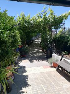 Zahrada ubytování Casa Mari Carmen y Jose