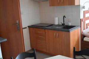 Kuchyň nebo kuchyňský kout v ubytování Apartament Czos