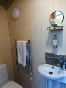 a bathroom with a sink and a toilet at Hay-on-Hye retreat in Hay-on-Wye