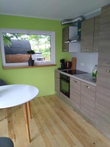 a kitchen with green walls and a table and a window at Abri de jardin in Vielsalm