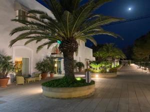 a palm tree in front of a building at night at Hotel Vecchio Mulino in Monopoli