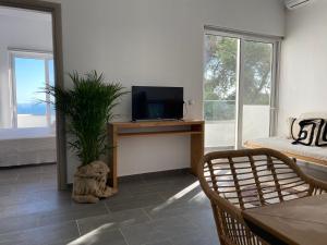 een woonkamer met een tv en een potplant bij Villa Ioanna oliveproject in Plakias