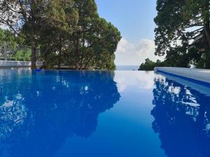 カバルジンカにあるGuest house "Grace"の海の景色を望む青いスイミングプール