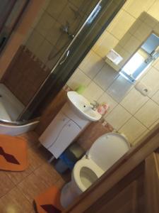 Kúpeľňa v ubytovaní Domek u Doroty Orelec k Soliny