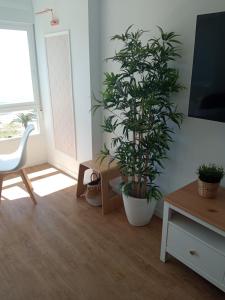 TV a/nebo společenská místnost v ubytování HH Apartamento Algarrobo costa