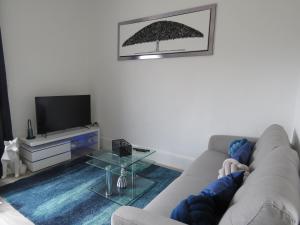 - un salon avec un canapé et une télévision dans l'établissement Le Modern'Blue entre centre ville et plage, à Mers-les-Bains