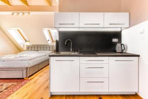 Kuchyň nebo kuchyňský kout v ubytování Apartmány Filipovice