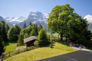 a house with a tree and mountains in the background at Naturfreunde Hostel Grindelwald in Grindelwald