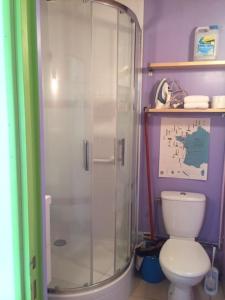 uma casa de banho com um WC e uma cabina de duche em vidro. em La maisonnette em Les Andelys