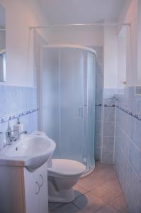 W łazience znajduje się toaleta, umywalka i prysznic. w obiekcie Apartmán Kampelička w mieście Rataje nad Sázavou