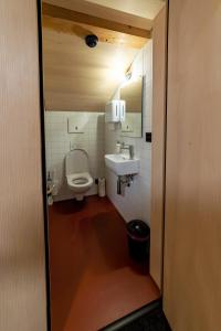 a bathroom with a toilet and a sink at Naturfreunde Hostel Grindelwald in Grindelwald