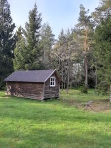 a small cabin in a field with trees at Kipi-Koovi Matkakeskuse väiksem majake in Kipi