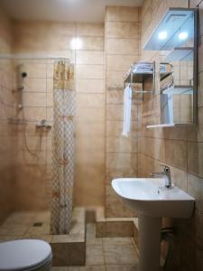 a bathroom with a sink and a shower with a toilet at АЛЬБА Отель Толстый Мыс in Gelendzhik