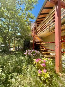 un giardino fiorito di fronte a un edificio di Apartment Olive Grove a Izola