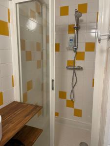 a shower with a shower head in a bathroom at Cosy Apparts Montlucon in Montluçon +38 photos