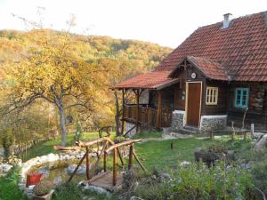 Příroda nedaleko apartmánu