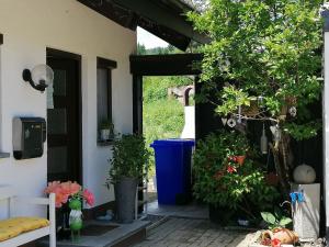 einer Haustür eines Hauses mit Topfpflanzen in der Unterkunft Haus Akelei in Todtmoos
