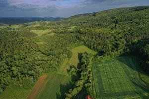 Príroda v okolí apartmánu