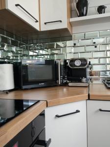 eine Küche mit einer Mikrowelle auf einer hölzernen Arbeitsplatte in der Unterkunft Apartament Romantyczny in Sandomierz