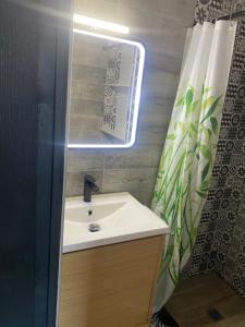 y baño con lavabo, espejo y cortina de ducha. en CALME-APPARTEMENT en La Grande-Motte