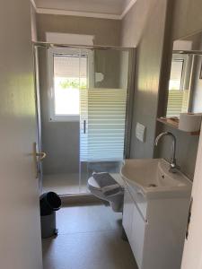 uma casa de banho com um chuveiro, um lavatório e um WC. em Villa Aphrodite em Paleros