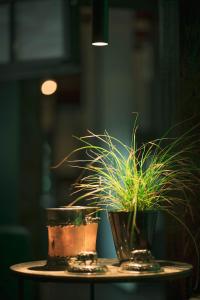 a table with two potted plants on it at LÖFFELMÜHLE BOUTIQUE BED AND BREAKFAST in Pillig