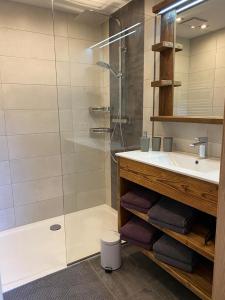 ein Badezimmer mit Glasdusche und Waschbecken in der Unterkunft Reithgut in Sankt Martin am Tennengebirge