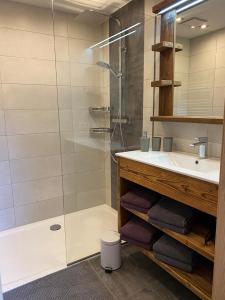 a bathroom with a glass shower and a sink at Reithgut in Sankt Martin am Tennengebirge