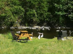une table de pique-nique et deux cygnes dans une rivière dans l'établissement Ruridylle 1, à Simmerath
