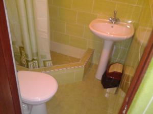 ベルジャーンシクにあるГостевой дом на Лискахのバスルーム(ピンクのトイレ、シンク付)