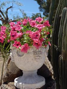 a white vase filled with pink flowers next to a cactus at Casolare del Toscano Country Rooms in Caltagirone