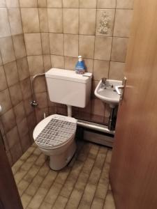 ein kleines Bad mit WC und Waschbecken in der Unterkunft Ferienhaus Lederer in Stockenboi