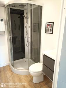 La salle de bains est pourvue d'une douche et de toilettes. dans l'établissement Joli Appartement avec balcon clim, à Graulhet