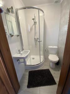 a bathroom with a shower and a toilet and a sink at Luna Noclegi i Zakwaterowanie in Jarosław +32 photos