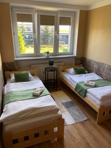 two beds in a room with two windows at Luna Noclegi i Zakwaterowanie in Jarosław