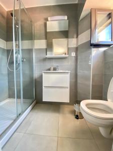a bathroom with a shower and a toilet and a sink at STUDIO TERRASSE VUE MER Clim Wifi Parking in Partinello