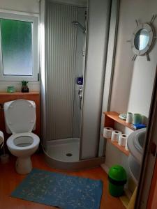 uma casa de banho com um chuveiro, um WC e um lavatório. em Lexi Zen House em Kamnik