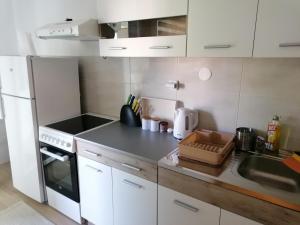 Elle comprend une petite cuisine avec des placards blancs et un évier. dans l'établissement Apartman Bogdanović Sokobanja, à Sokobanja