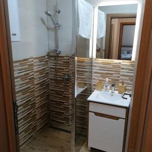 La salle de bains est pourvue d'une douche et d'un lavabo. dans l'établissement Apartman Bogdanović Sokobanja, à Sokobanja