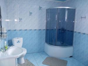 Ванна кімната в Карпатські Зорі