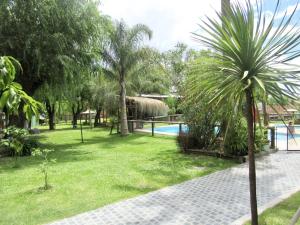 a garden with a palm tree and a swimming pool at La Casona in Gualeguaychú
