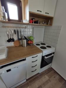 Kuchyň nebo kuchyňský kout v ubytování Vikendica Vera