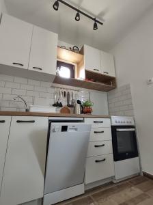Kuchyň nebo kuchyňský kout v ubytování Vikendica Vera