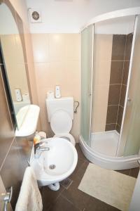 La salle de bains est pourvue de toilettes, d'un lavabo et d'une douche. dans l'établissement Apartment Ante, à Biograd na Moru