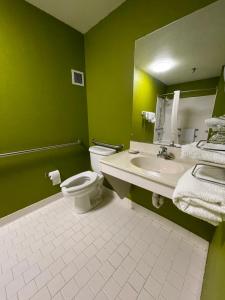 a green bathroom with a toilet and a sink at Relax Inn McRae in McRae +1 photo