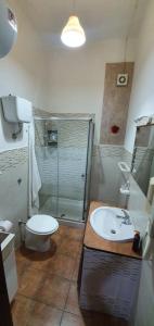 y baño con ducha, aseo y lavamanos. en CASA VACANZE FONDACO DI SCILLATO en Scillato