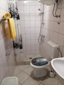 a bathroom with a shower with a toilet and a sink at Apartman Jurja in Ledenice