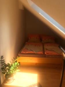 Postel nebo postele na pokoji v ubytování Apartmany Lend