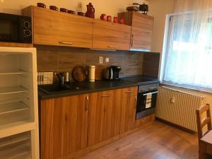 Kuchyň nebo kuchyňský kout v ubytování Apartmany Lend